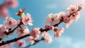 Branches of blossoming cherry on a background of blue sky. Pink sakura flowers in springtime. AI Generated Royalty Free Stock Photo