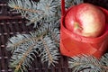 Branches of blue spruce and ripe fragrant apples in a basket. Against the background of a wicker vine. Royalty Free Stock Photo