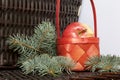 Branches of blue spruce and ripe fragrant apples in a basket. Against the background of a wicker vine. Royalty Free Stock Photo