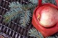 Branches of blue spruce and ripe fragrant apples in a basket. Against the background of a wicker vine. Royalty Free Stock Photo
