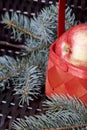 Branches of blue spruce and ripe fragrant apples in a basket. Against the background of a wicker vine. Royalty Free Stock Photo