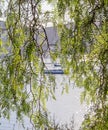 Branches of Brazilian pepper Schinus terebinthifolius against a seascape background Royalty Free Stock Photo