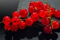 Branches of bright red currant on a glossy black surface Royalty Free Stock Photo