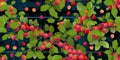 Branches cherry plum tree with ripe fruits. Dark background picture. Garden plant with edible harvest. Seamless pattern