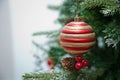 Branches Christmas red and gold ball . New year background decorations Christmas whitr tree green nature Christmas green ball . Royalty Free Stock Photo