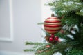 Branches Christmas red and gold ball . New year background decorations Christmas whitr tree green nature Christmas green ball . Royalty Free Stock Photo