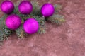 Branches of a Christmas tree decorated with purple balls on a gray textured background. Copy space. Royalty Free Stock Photo