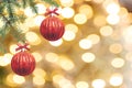 The branches of the Christmas tree are decorated with red balls on a golden background. Royalty Free Stock Photo