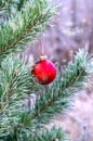 The branches of Christmas trees, toy