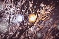 Branches covered with snow and shining electric lighting pole through snowflakes in a winter night. Royalty Free Stock Photo