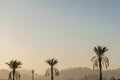 Branches of date palms under blue sky in Egypt Royalty Free Stock Photo