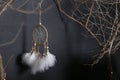 Among branches Dreamcatcher weighs. dark background. white feathers Royalty Free Stock Photo