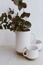 Branches of eucalyptus in vase on table on light background