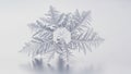 While the branches extend outward showcasing the snowflake s natural Royalty Free Stock Photo
