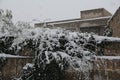 The branches filled with snow on wall Royalty Free Stock Photo