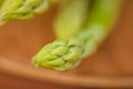 branches of fresh green asparagus on a wooden board, brown background, close-up. macro photography