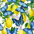 Branches of fresh lemons and blue butterfly. Hand drawn watercolor painting. seamless pattern Royalty Free Stock Photo