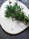 The branches of fresh rosemary on white ceramic board Royalty Free Stock Photo