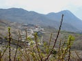 Branches in front mountains in the background