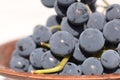 Branches of grapes just picked in ceramic plate closeup Royalty Free Stock Photo