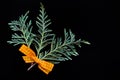 Branches of green juniper with a yellow ribbon of fabric on a black background