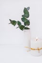 Branches of green silver dollar eucalyptus in ceramic vase, burning candle on white background, styled image Royalty Free Stock Photo