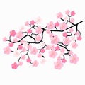 Branches of Japanese cherry blossoms. vector illustration