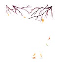 Branches without leaves autumn trees. Falling leaves. Vector illustration isolated on white background Royalty Free Stock Photo