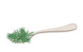 Branches and leaves of fresh rosemary on a spoon