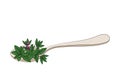 Branches and leaves of fresh thyme on a spoon