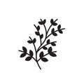 Branches with leaves icon vector sign and symbol isolated on white background, Branches with leaves logo concept