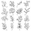 Branches and leaves of plants. Vector contour drawing on an isolated background. Doodle hand-drawn illustrations Royalty Free Stock Photo