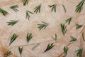 Branches and leaves of rosemary as a background spices collection. On rustic background