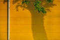 Branches with leaves and the trunk can be seen only as shadows on the factory hall