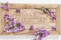 Branches of lilac flowers on wooden frame. Spring fresh small flowers of lilac. Floral border background Royalty Free Stock Photo