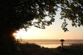 branches of oak on the shore a lake at sunrise silhouettes trees edge during Royalty Free Stock Photo