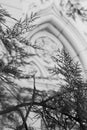 The branches and ornament on the facade of the church, black and white Royalty Free Stock Photo