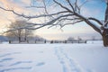 branches over a farms snow trail