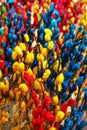 Branches of painted yellow, pink, red, blue and green colors willow on a flower market. Royalty Free Stock Photo