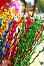 Branches of painted yellow, pink, red, blue and green colors willow on a flower market. Royalty Free Stock Photo