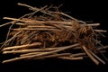 Branches pile, dry twigs pile ready for campfire, sticks, boughs heap for a fire, dry thin branches