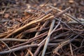 Branches pile, dry twigs pile ready for campfire, sticks, boughs heap for a fire, dry thin branches