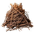 Branches pile isolated. Dry twigs pile ready for campfire, sticks, boughs heap for a fire