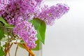 Branches of purple lilacs are collected in a lush bouquet in a glass vase