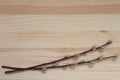 Branches of willow on natural wooden background.