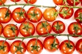 Branches of red cherry tomatoes sprinkled with some mud