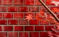 Branches of red leaves of maple trees in autumn season in a Japanese garden, selective focus on red brick wall  background Royalty Free Stock Photo