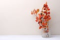 Branches with red leaves in vase in interior in autumn time. Royalty Free Stock Photo