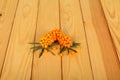 Branches with ripe sea-buckthorn berries on light wood background.