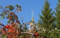 Branches of rowan and Christmas tree on the background of the Bell Tower of Kazan Monasteryin Tambov Russia Royalty Free Stock Photo